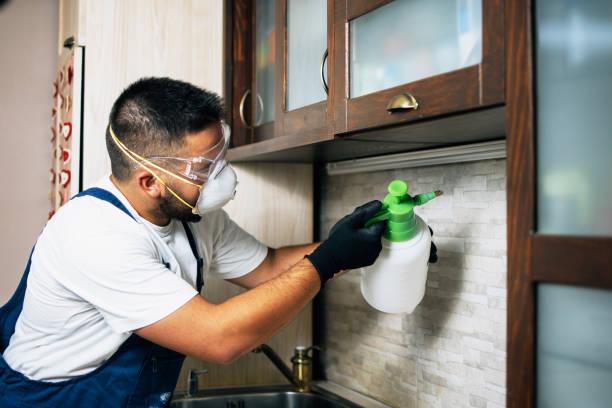 Best Ant Control Services  in Roseburg, OR