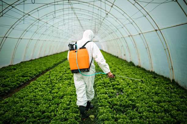 Best Affordable Pest Control Services  in Roseburg, OR